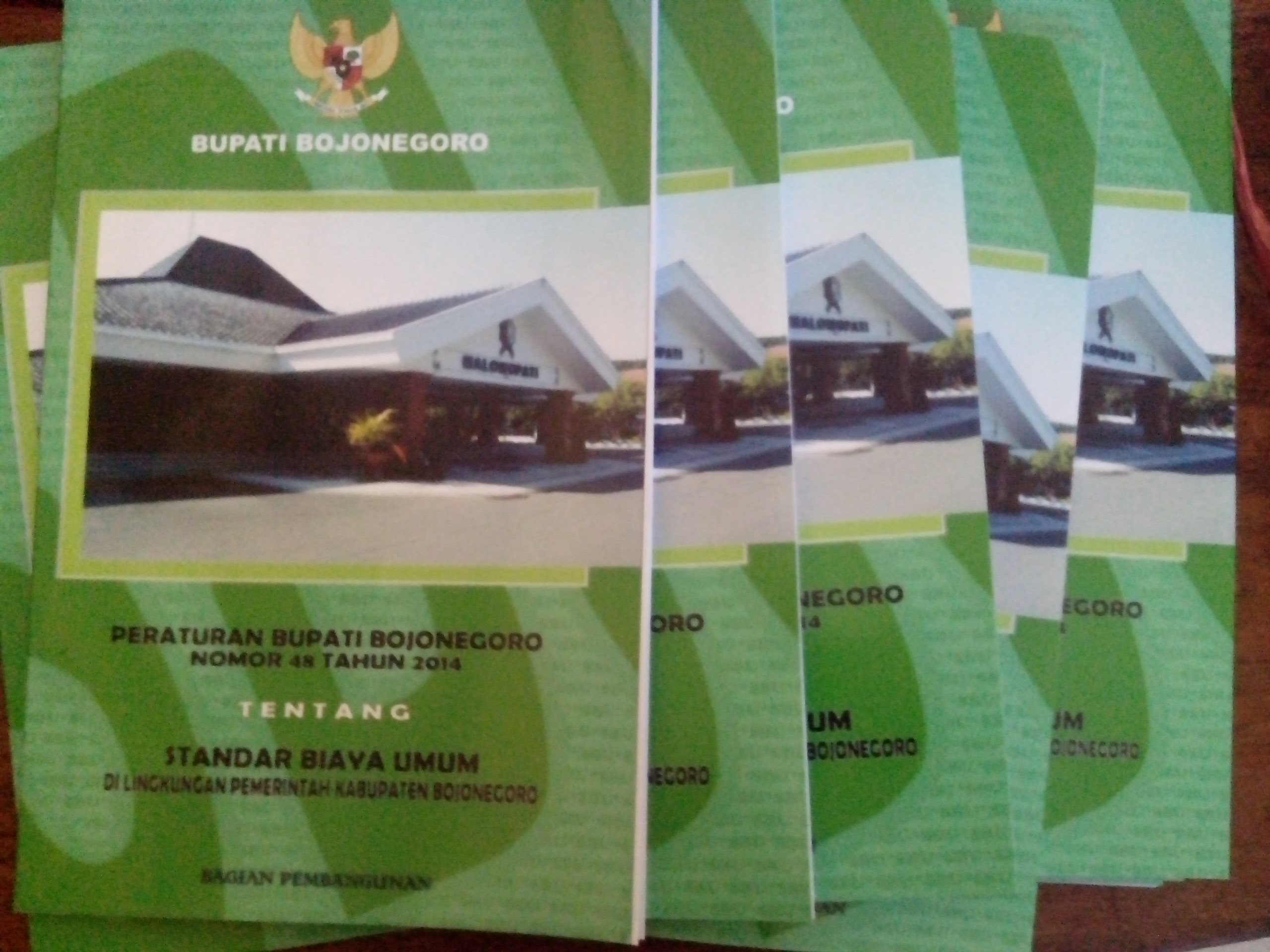 Standar Biaya Umum (SBU) Nomor 48 Tahun 2014
